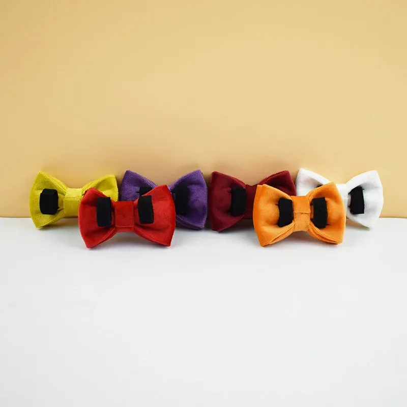 AnyWags Cat Collar Sunset Orange Bow Large with Safety Buckle, Bell, and Durable Strap Stylish and Comfortable Pet Accessory