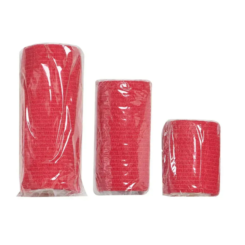 Best Pet First Aid Kit