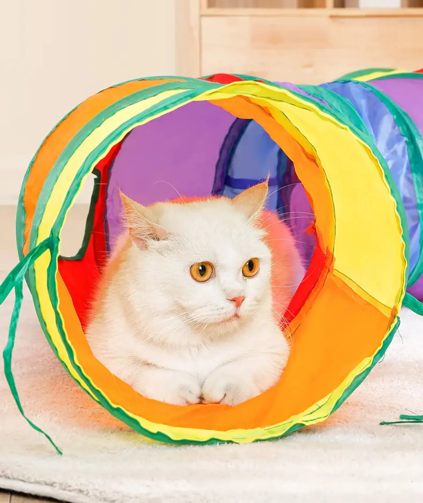 Cat Tubes and Tunnels Collapsible，Interactive Cat Toy