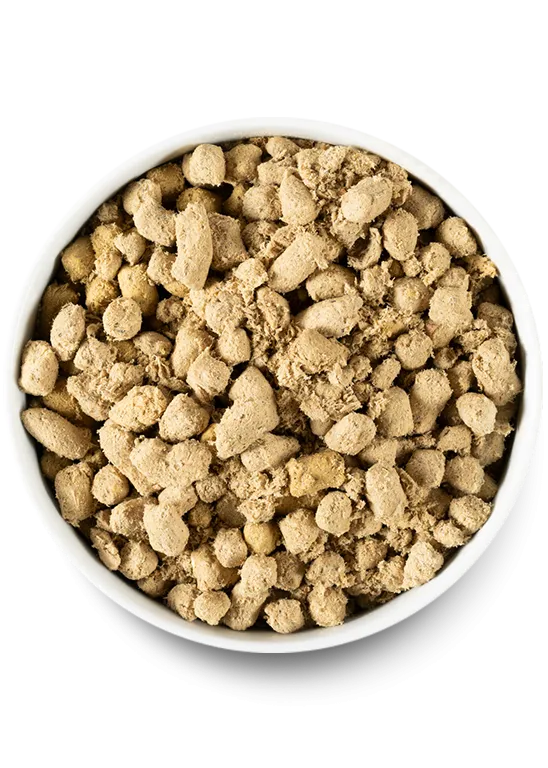 Open Farm Homestead Turkey Freeze Dried Raw Dog Food