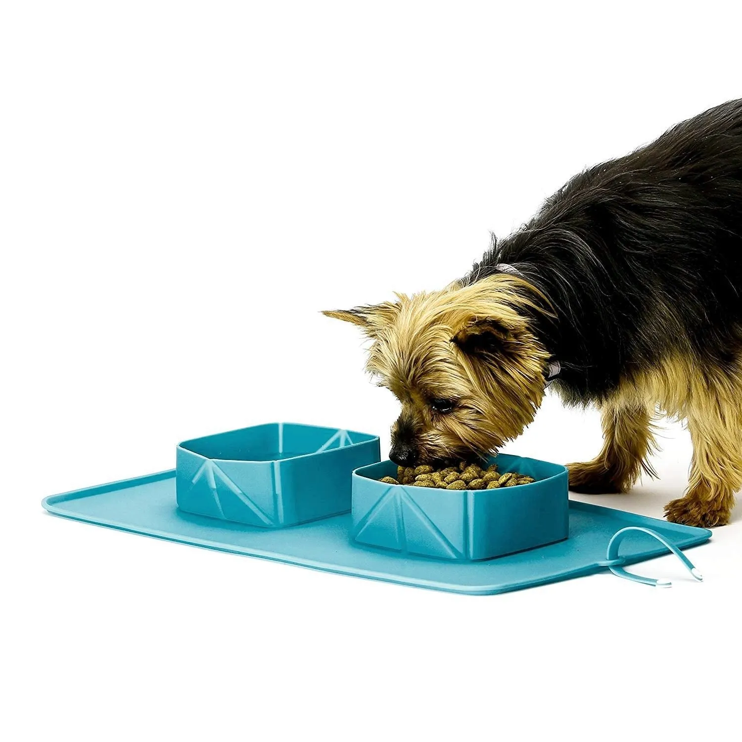 Portable Travel Rollup Pet Feeder
