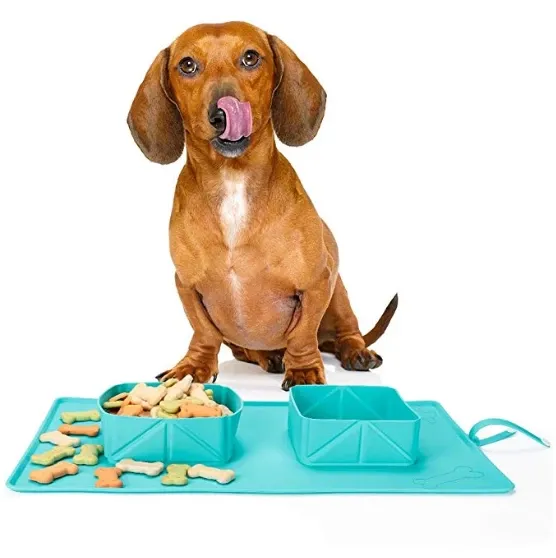 Portable Travel Rollup Pet Feeder
