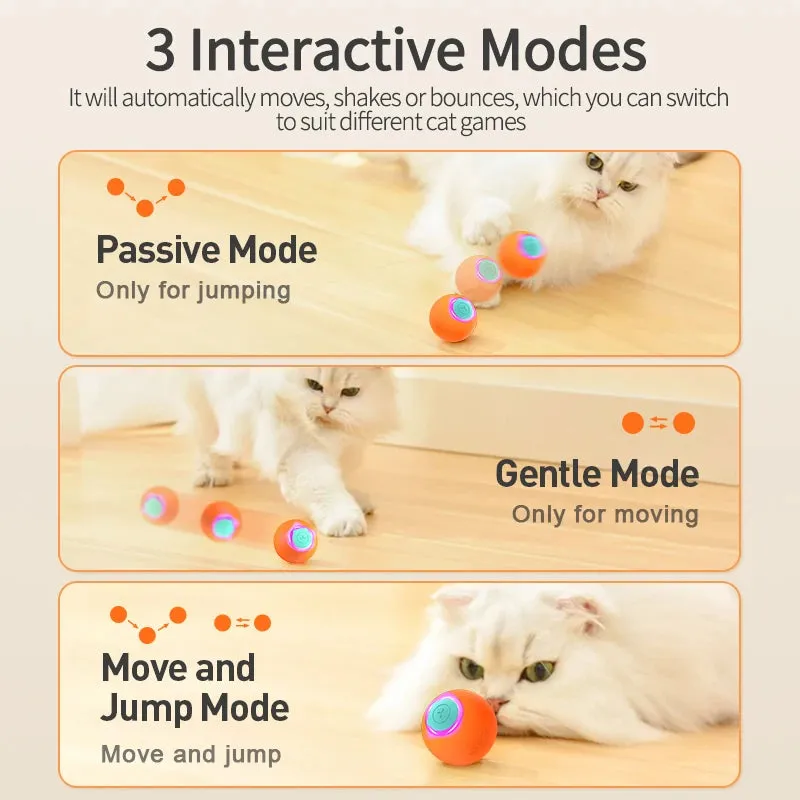 Smart Interactive Ball for pets