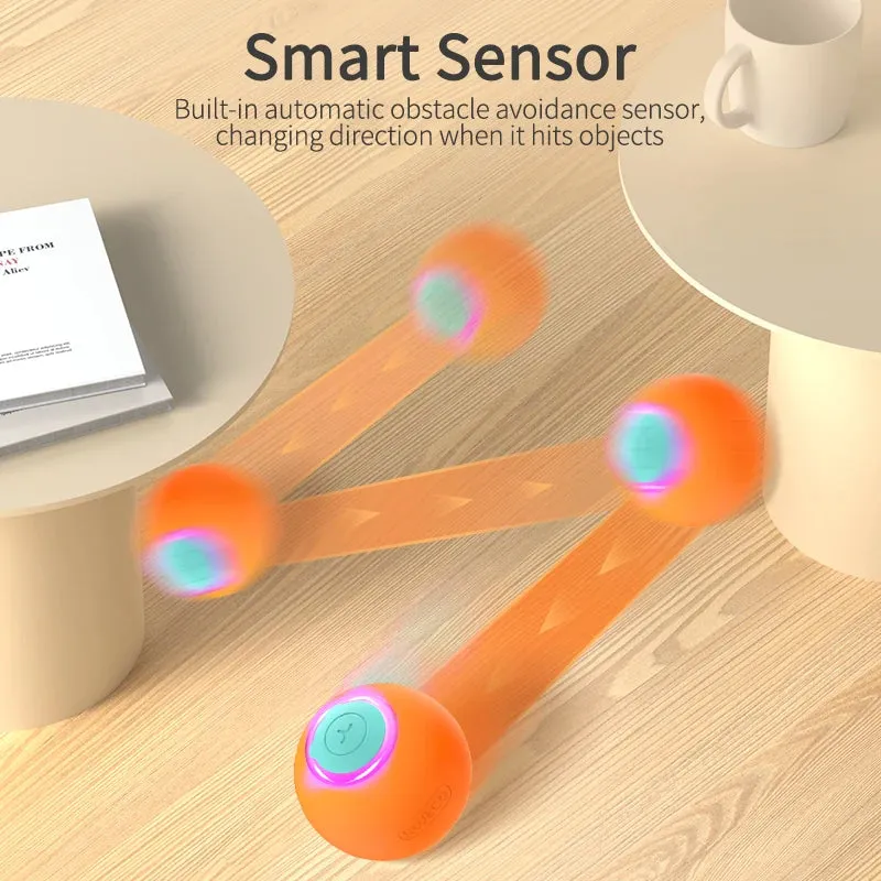 Smart Interactive Ball for pets