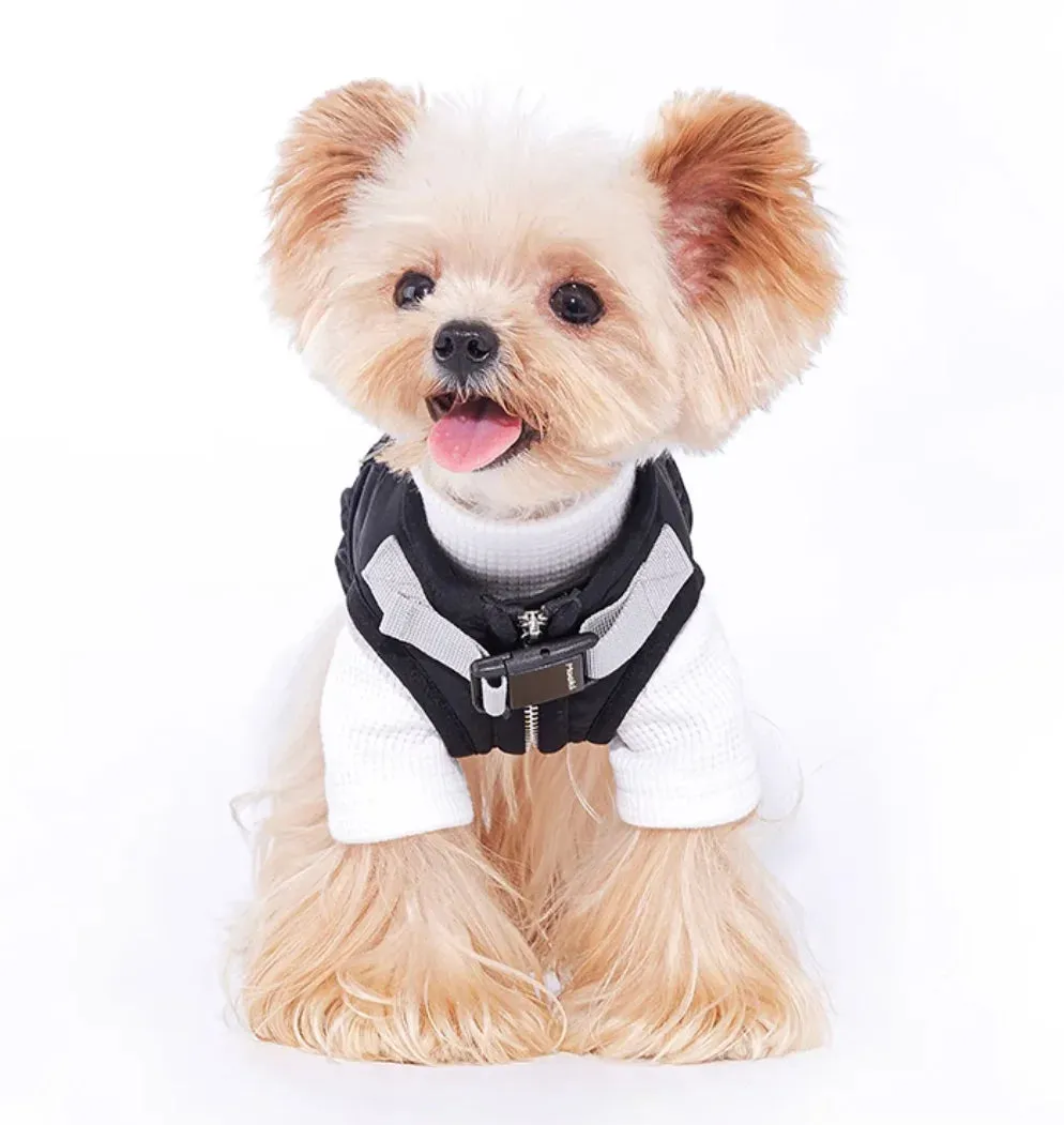 Spring and Autumn Pet Sweater: Cozy Dog Clothes for a Stylish Seasonal Wardrobe