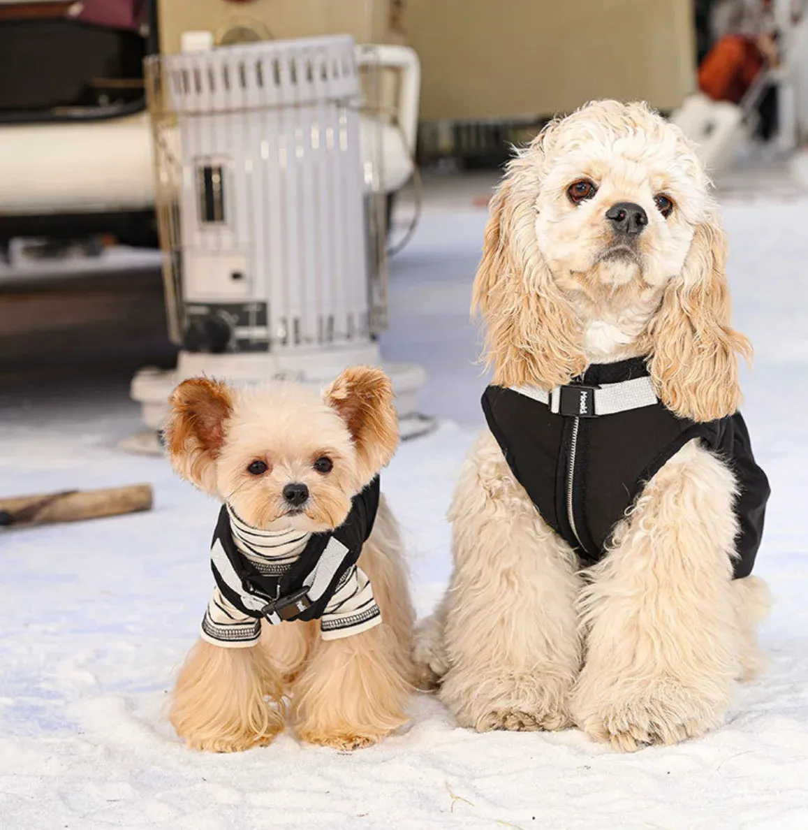 Spring and Autumn Pet Sweater: Cozy Dog Clothes for a Stylish Seasonal Wardrobe