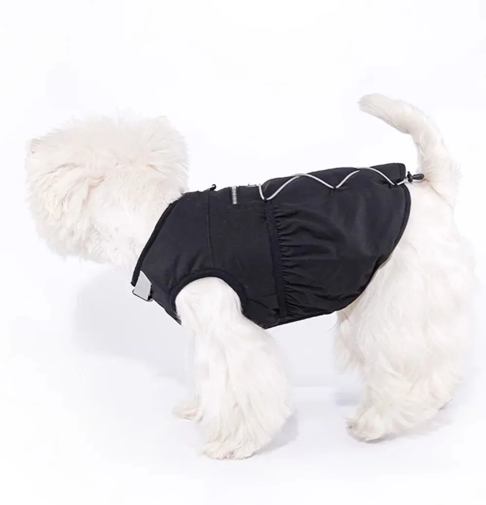Spring and Autumn Pet Sweater: Cozy Dog Clothes for a Stylish Seasonal Wardrobe
