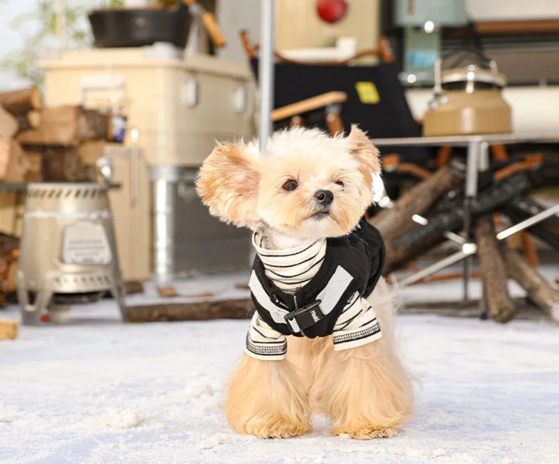 Spring and Autumn Pet Sweater: Cozy Dog Clothes for a Stylish Seasonal Wardrobe