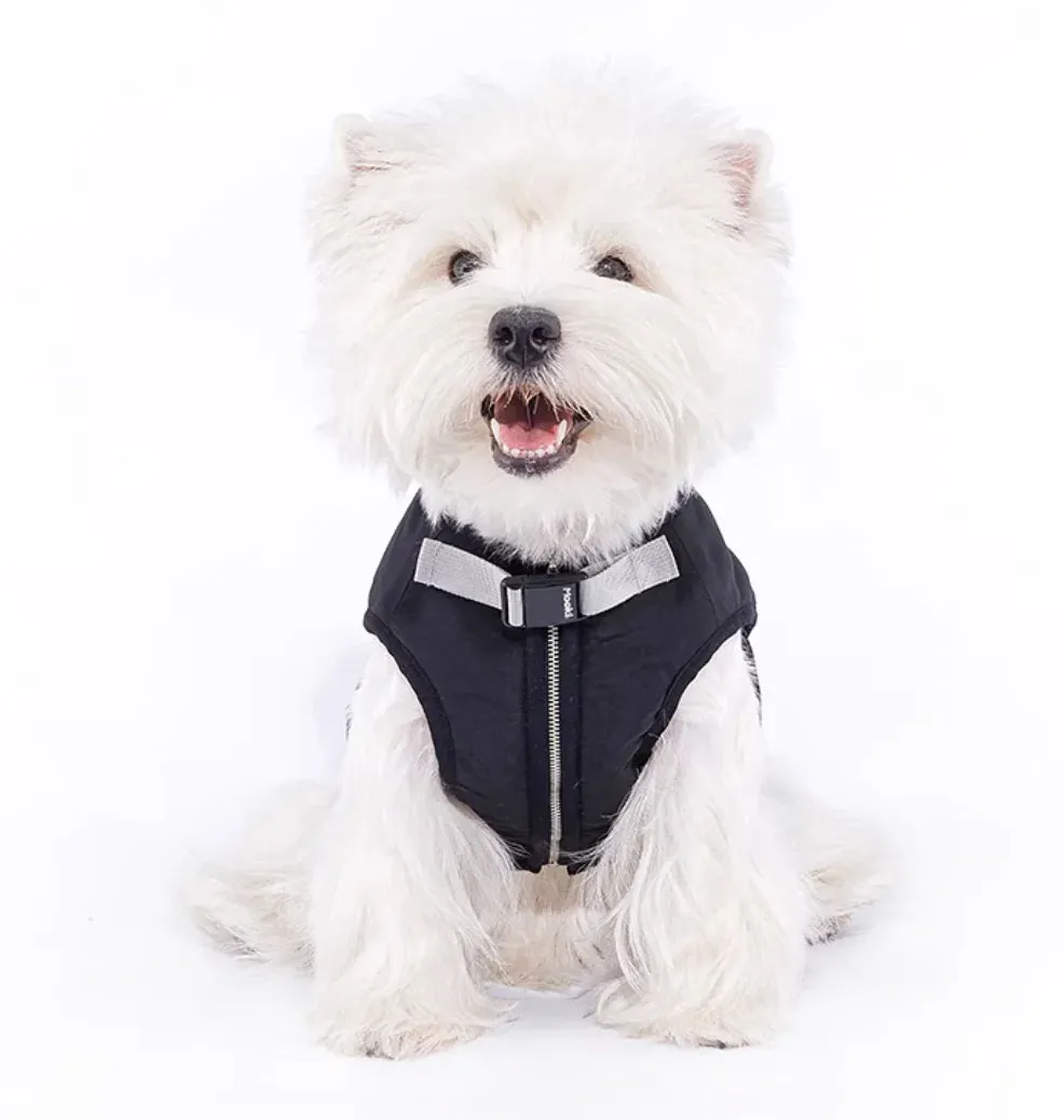 Spring and Autumn Pet Sweater: Cozy Dog Clothes for a Stylish Seasonal Wardrobe