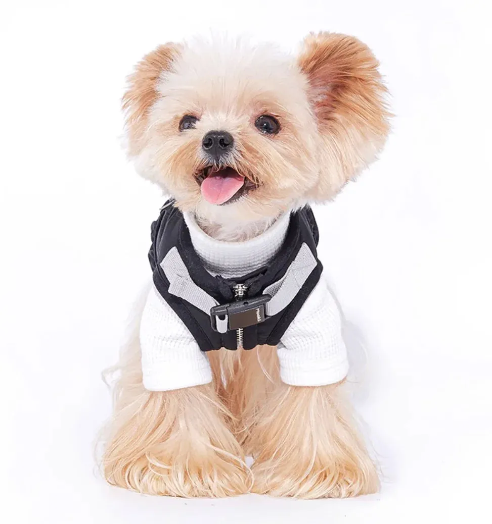 Spring and Autumn Pet Sweater: Cozy Dog Clothes for a Stylish Seasonal Wardrobe