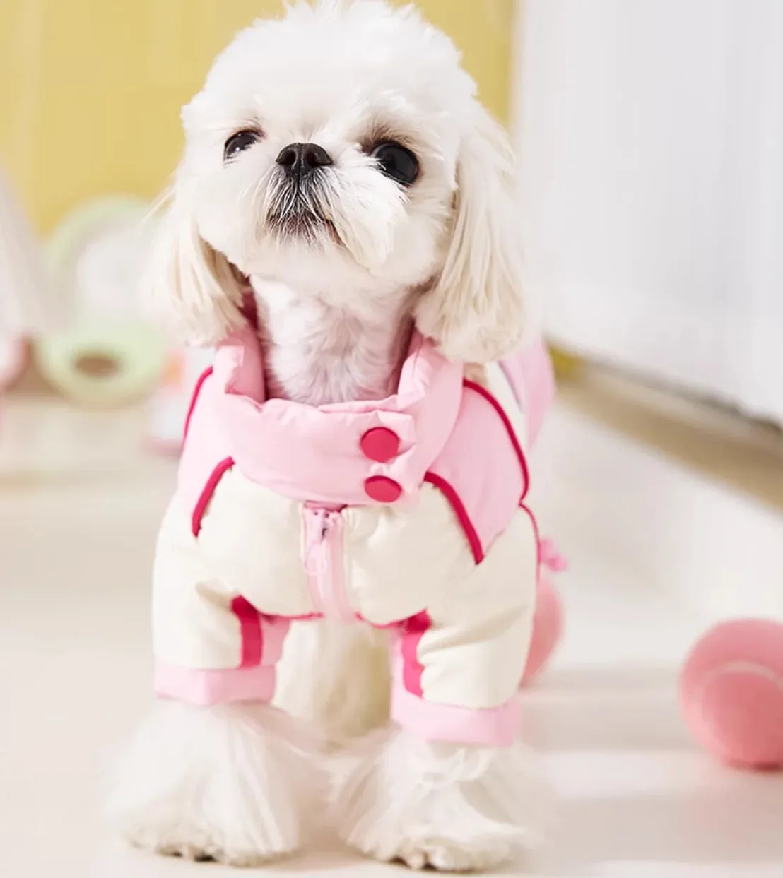 Stylish Pet Sweater: Cozy Dog Clothes for Spring and Autumn - Keep Your Furry Friend Comfortable and Fashionable