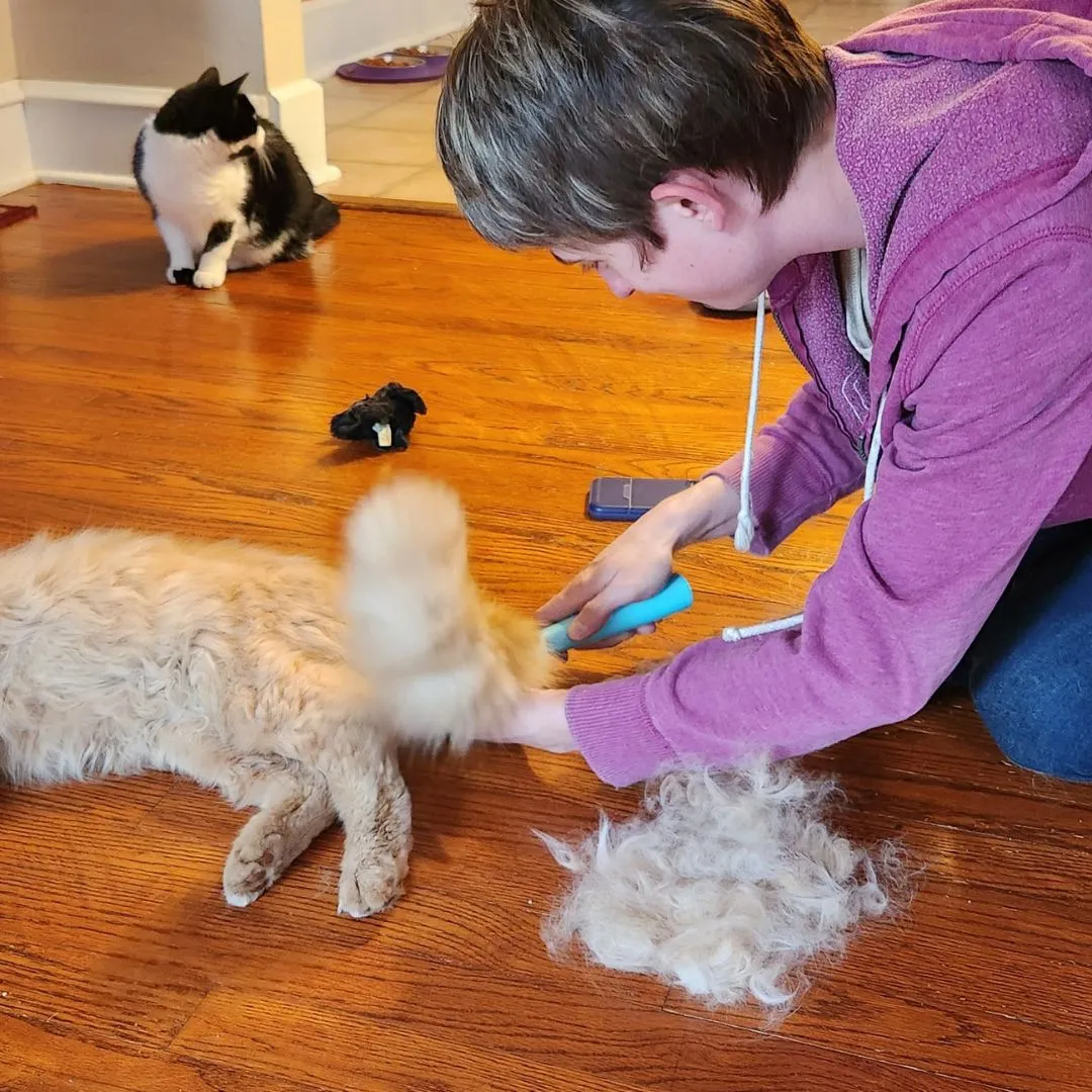 Uproot Cat and Dog Brush
