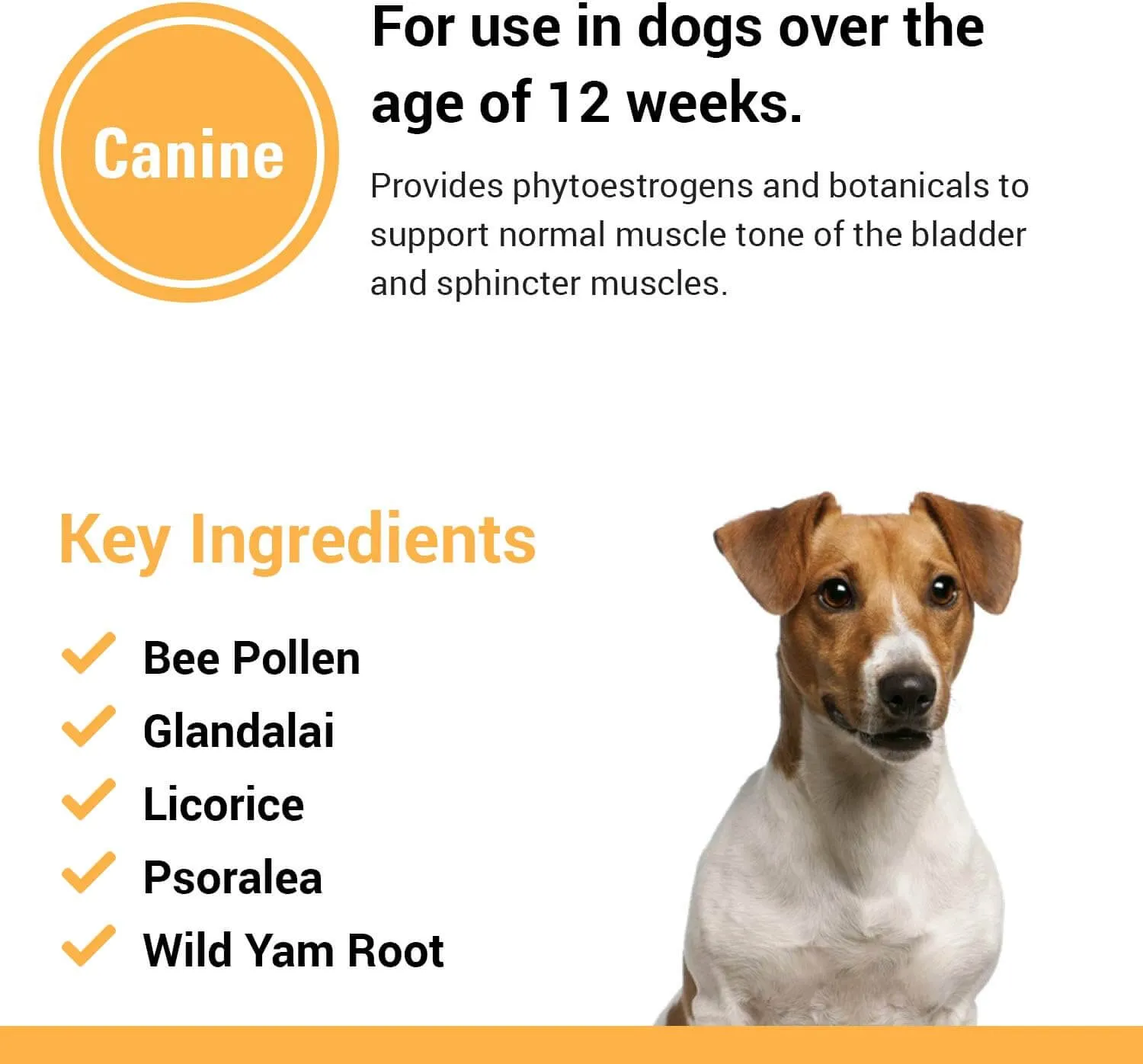 VetClassics Incontinence Formula