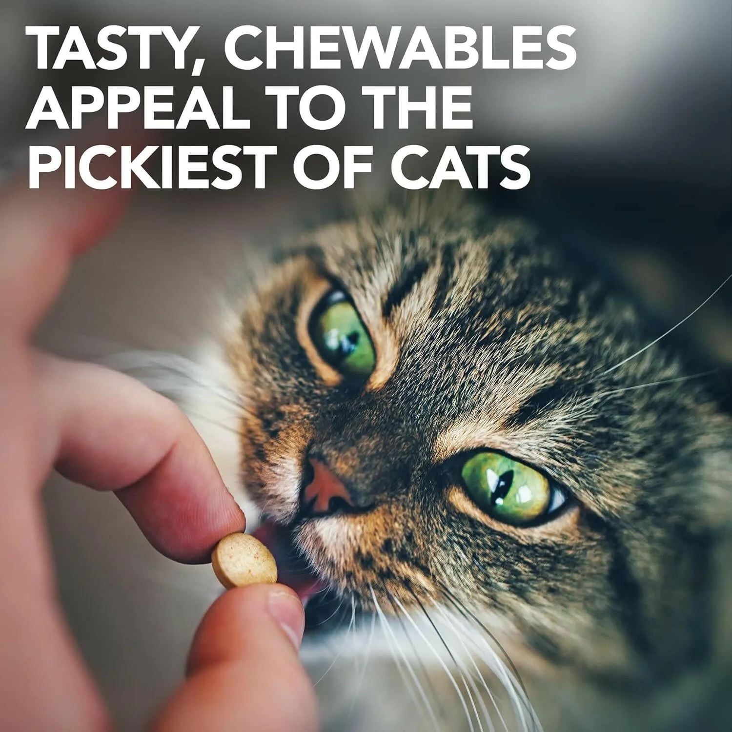 Vet's Best Urinary Tract Support For Cats (60 tablets)